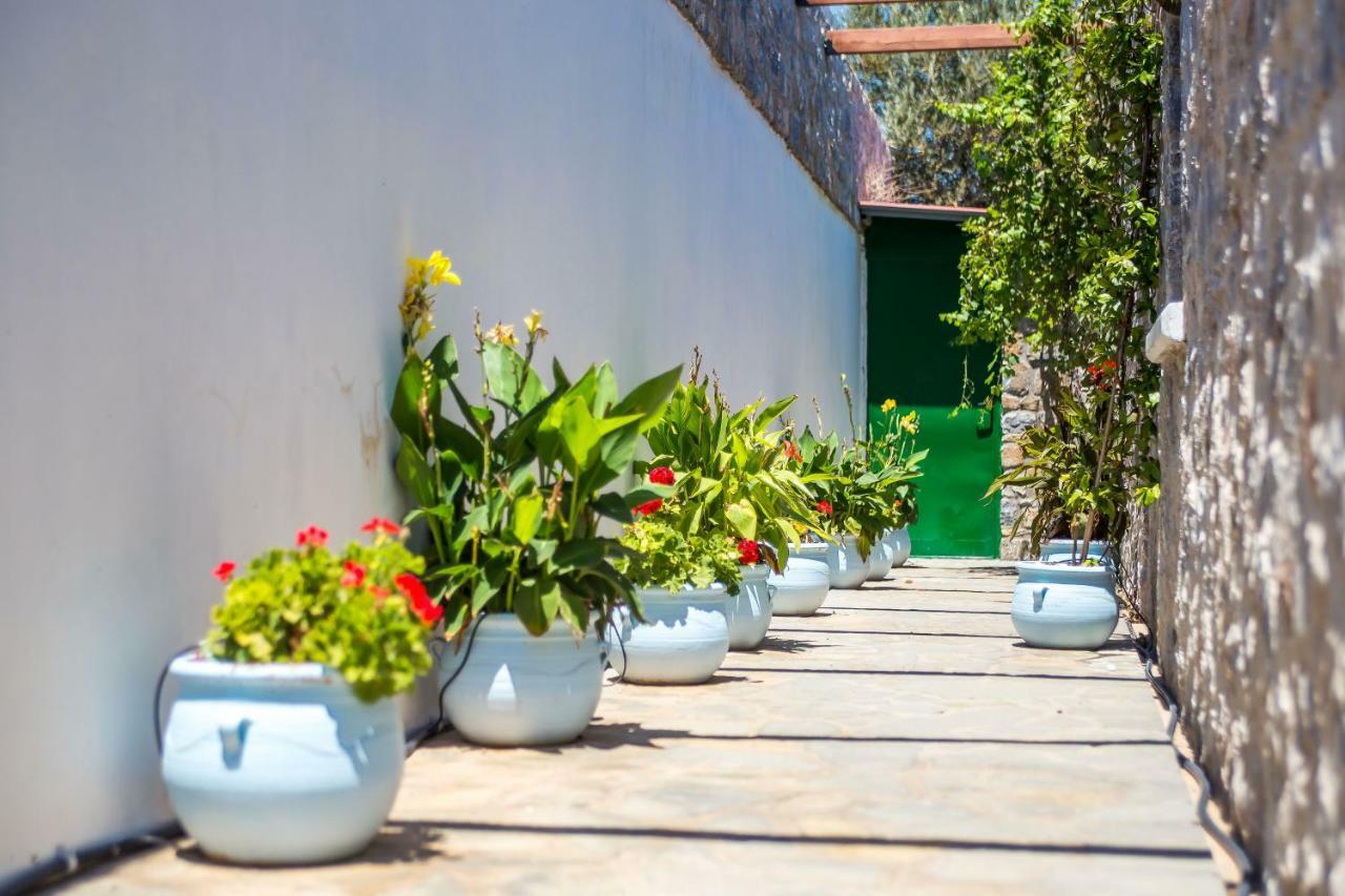 Villa Helios كالاثوس المظهر الخارجي الصورة